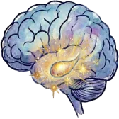 Amygdala icon