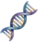 Gene expression icon