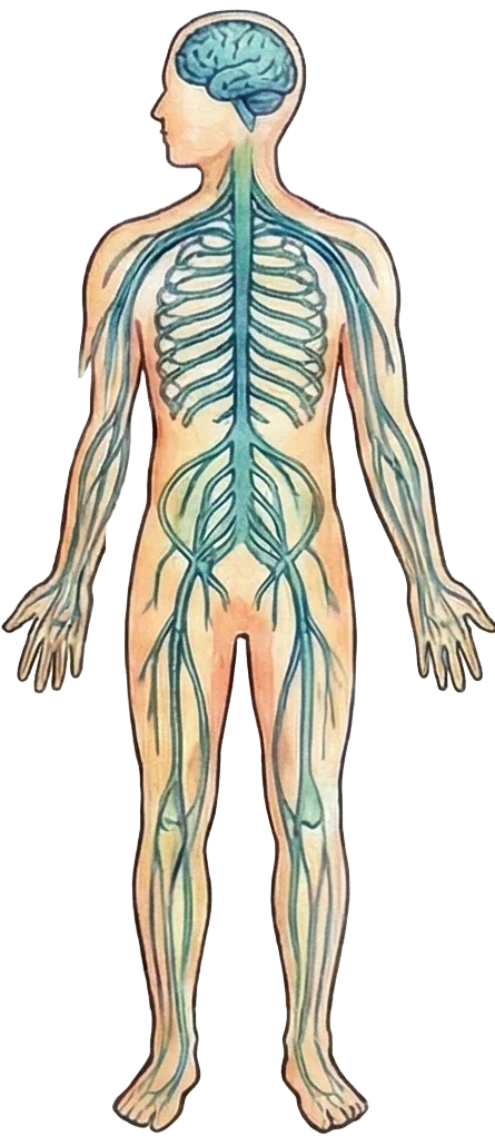 Shift Nervous System Icon