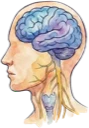 Vagus nerve icon